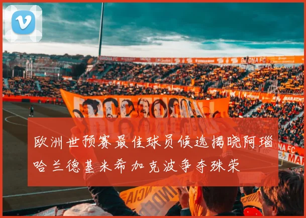 欧洲世预赛最佳球员候选揭晓阿瑙哈兰德基米希加克波争夺殊荣